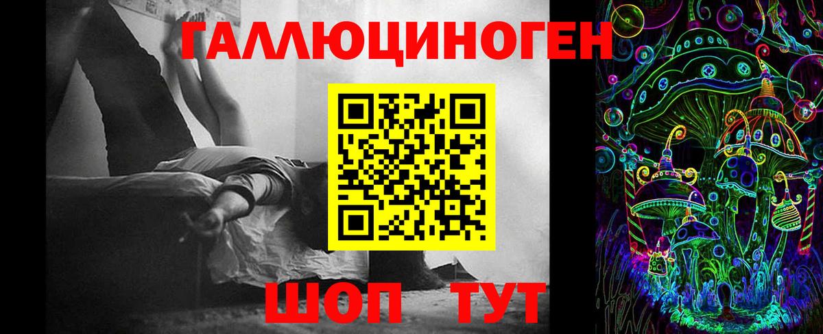 Сокол  Галлюциногенные грибы GOLDEN TEACHER  Галлюциногенные грибы Psilocybe  Вход с VPN 