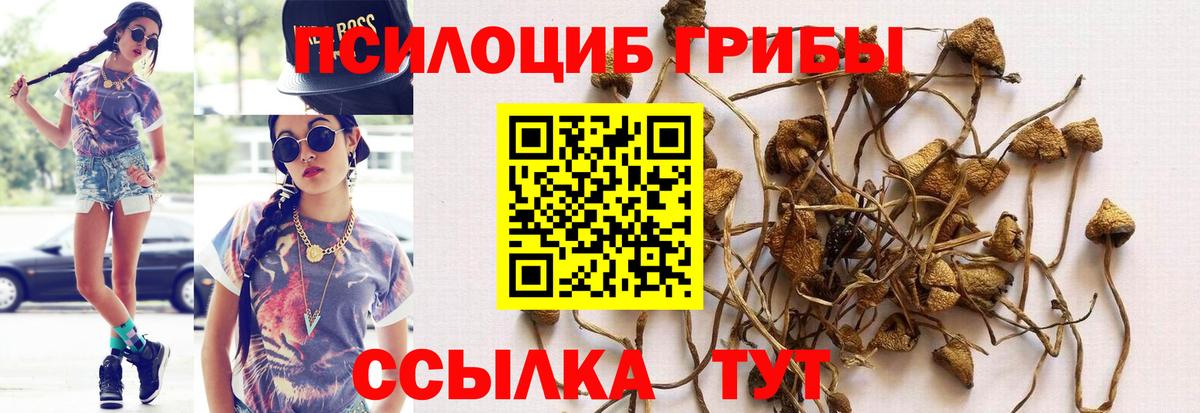 Cocaine  NBOMe  Меф кристаллы  Экстази  ГАШ  Канабис  Сокол  Канабис  Вход с VPN 